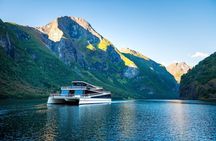Bergen: Small group tour with Flåm Cruise, Nature Walk, Goat farm