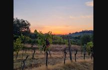 Cook and Taste Tuscany Pasta and Tiramisu in Florence Countryside