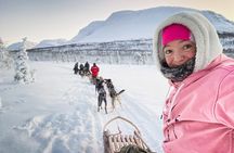 Small Group Wilderness Husky Sledding 2h from Tromsø (car needed)