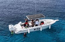 Deluxe Half Day Private Charter Adventure in Bonaire