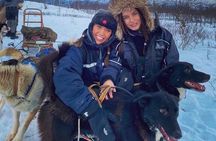 Private Husky Sledding: Drive or Ride – 2 Hours from Tromsø