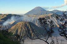 Mount Bromo and Ijen Crater Tour with Train