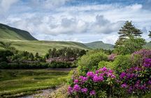 Castles and Mountains of Wales Small Group Day Tour from Bristol