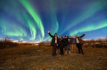 Tromsø Daily Northern Lights Aurora Tours Small Group Max 8 Guest