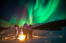 Tromsø Daily Small Group Aurora Tour with pickup and Suits