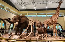 Nairobi Historical & Cultural City Tour with a local