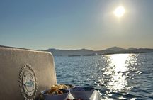 Private Dolphin Sighting Tour with Aperitif