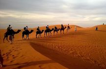 Desert Safari Dubai With Live Shows and BBQ Buffet Dinner