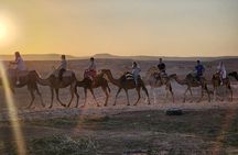 Marrakech Agafay Desert : Camel Ride Sunset and Dinner Show 