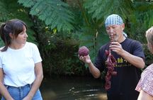 Private Amami Nature and Culture Experience