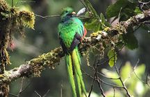 Curicancha Monteverde Nature Walk