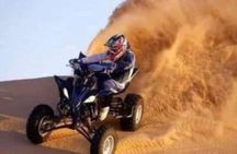 Dubai Desert Safari Adventure 