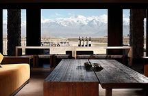 Potrerillos and Cacheuta Dike with Gourmet Lunch in Winery