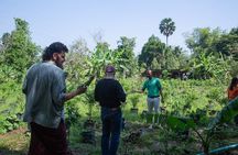 Kampot Cooking Class by Eco Lotus Kampot