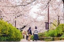 Tokyo Private Car Adventure with English-Speaking Driver