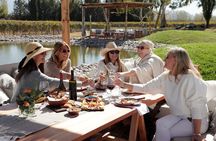 Potrerillos and Cacheuta Dike with Gourmet Lunch in Winery