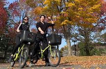 Kanazawa Cycling Tour Ninja Temple Myoryuji and City Highlights