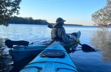 Dolphin Sanctuary Kayak Tours Twilight Mangrove Kayak