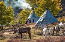 Reindeer Family Tour with Naadam Festival and Gobi Desert