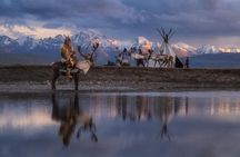 Reindeer Family Tour with Naadam Festival and Gobi Desert