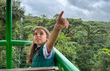 Rainforest Aerial Tram Half Day Pass – Braulio Carrillo Park