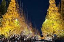 Tokyo Private Walking Tour for Tradition, Culture and Hidden Gems