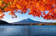 Mount Fuji Private Custom Tour with Local English Speaking Guide