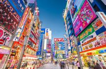 Tokyo Private Walking Tour – Ueno, Ameyoko & Kanda