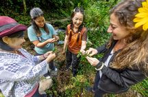Mae Kampong Cooking Class Hike Forage and Feast