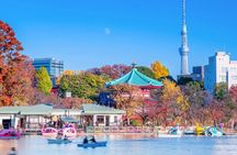 Tokyo Private Walking Tour – Ueno, Ameyoko & Kanda