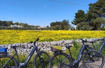 Smart & easy ebike tour in the Itria Valley: Martina Franca - Locorotondo