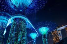 Singapore Night River Cruise with Garden Rhapsody and Spectra