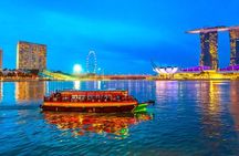 Singapore Night River Cruise with Garden Rhapsody and Spectra