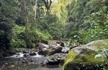 Meru Forest Napuru Waterfalls Hiking Day Trip