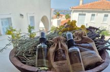 Spiritual Tour at Spetses Forest