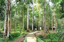 Sorong Southwest Papua Full Day Tour