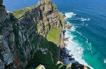Cape town: Full-day Cape of Good Hope&table mountain 