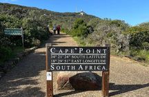 Cape town: Full-day Cape of Good Hope&table mountain 
