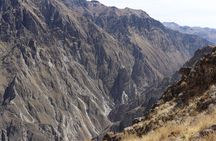 Colca Canyon Full Day Tour from Arequipa