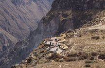 Colca Canyon Arequipa 2D / 1N