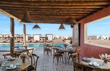 Agafay Desert Full-Day Tour Lunch, Dinner & Night Fiesta