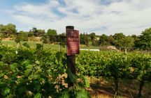 African Story Wine Tours in the Cape Winelands