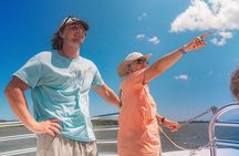 90 Minute Hilton Head Dolphin Tour