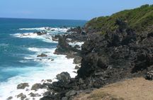 Full Island Tour