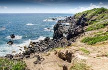 Full Island Tour