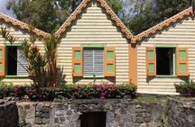 Best of St. Kitts Tour