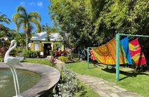 Best of St. Kitts Tour