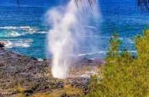 POIPU SEA KAYAK TOUR - Turtle, Dolphins and Snorkel