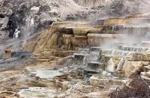 Private Winter Wildlife Tour in Yellowstone Park's Northern Range