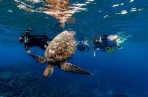 Want to escape? Treat yourself to a snorkeling session in Tahiti!